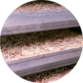 La lievitazione